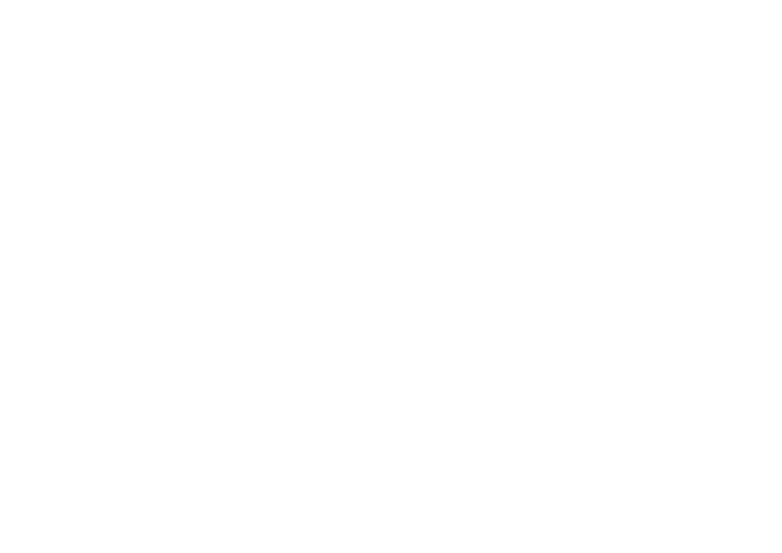 light logo